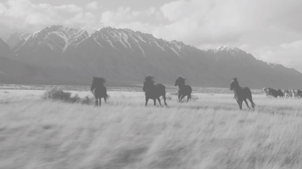 LET'S RIDE TOGETHER